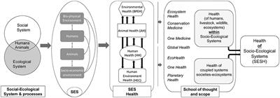 “Health in” and “Health of” Social-Ecological Systems: A Practical Framework for the Management of Healthy and Resilient Agricultural and Natural Ecosystems